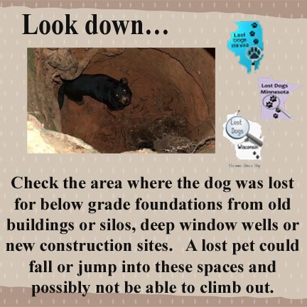 9644_10151367059311241_896597866_n