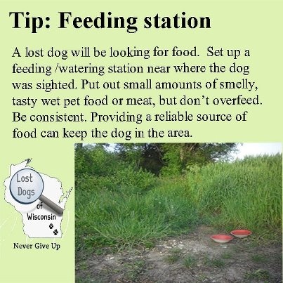 64066ed5b8517aade5e5a33c577f0773