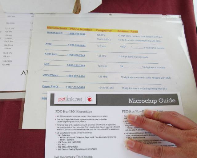 1048685_10200176853651760_78798009_o