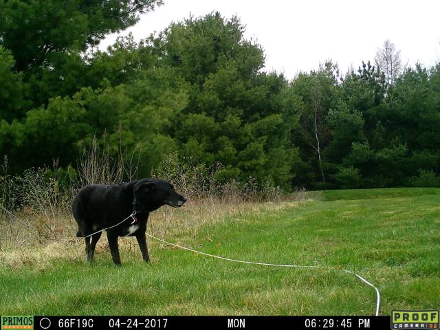 18278231_10154855157113355_1974276509475184082_o