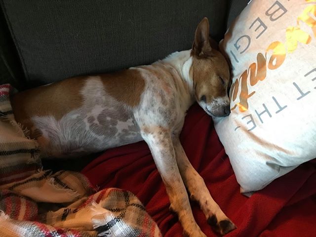 35886965_10155790509537075_2309885861929418752_n