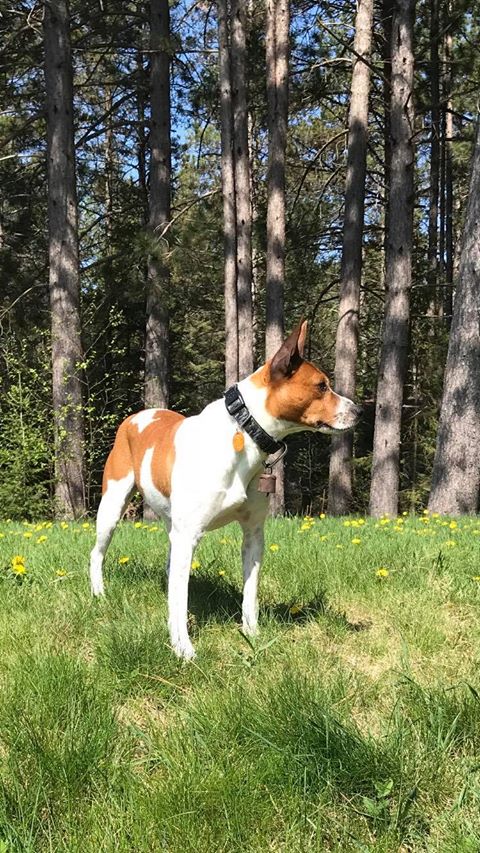 36272100_10155790514487075_3162425707565416448_n